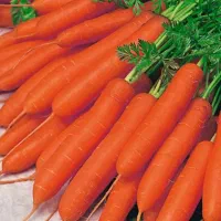 آب هویج گیری