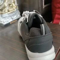 کفش|کیف، کفش، کمربند|کرمان, |دیوار