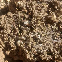 فروش دوپلاک زمین ارشاد ۲ فرعی ۲۶