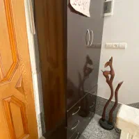 کمد MDF|جاکفشی، کمد، دراور|یزد, |دیوار