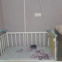 تخت نوزاد