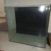 آکواریوم شیشه خم
