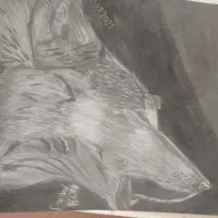 فروش نقاشی مداد شمعی و سیاه قلم