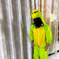 لباس  عروسکی جوجه اردک نو‌