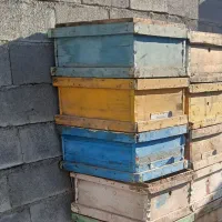 کندو وطبق زنبور عسل