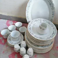 ظروف چینی و پیرکس مناسب باغ و استفاده همه باهم