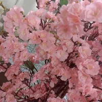 درختچه شکوفه مصنوعی صورتی نو|گل مصنوعی|تهران, آهنگ|دیوار