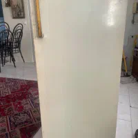 یخچال فریزر ۱۰ فوت