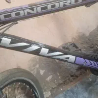 دوچرخه ویوا