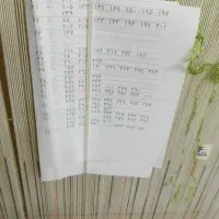 قالی|تابلو فرش|تهران, هلال احمر|دیوار