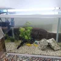 اکواریوم باهمەی تجهیزات