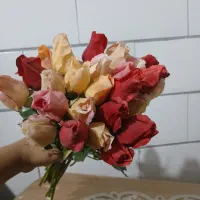 ۳۰ شاخه گل رز لمسی