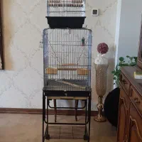 قفس کاسکو کوچک وبزرگ وپایه