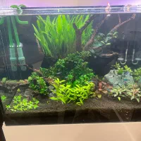 آکواریوم سوپر کیلیر پلنت ۶۰   ۴۰   ۴۰