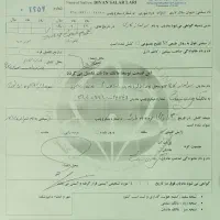 فروش کره نریان دره شور  ۲سال|اسب و تجهیزات اسب‌سواری|نی‌ریز, |دیوار