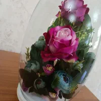 گل صداقت