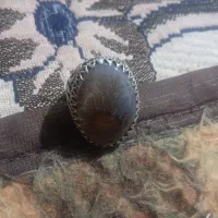 شجر|جواهرات|بم, |دیوار