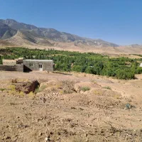 زمین مسکونی