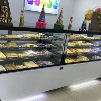 یخچال و ویترین ایران استیل|فروشگاه و مغازه|رشت, گلسار|دیوار