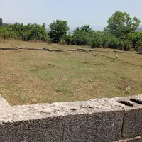 علف تراشی با قیمت مناسب