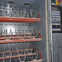 دستگاه جوجه کشی شترمرغ توسن