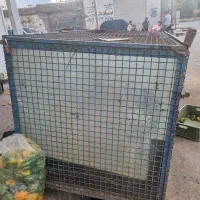 اکواریوم
