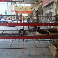 استند میوه فروشی