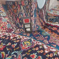 پلوپز