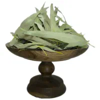 برگ اوکالی توس بسه ای ۵۰.برای سرما خوردگی