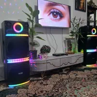 اسپیکر دو قلو