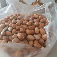 سنجد شیرین ونرم و خوشمزه|خوردنی و آشامیدنی|اصفهان, دستگرده|دیوار
