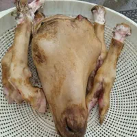 کله بره نر موجوده کشتار امروز