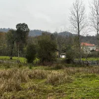 300متر-مجوزساخت-ویوجنگل-جاده-ماسوله-بر-آسفالت