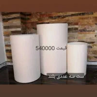 پخش انواع گلدانهای مشکی گلخانه ای|گل و گیاه طبیعی|پاسارگاد, |دیوار