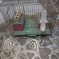 قفس پرنده