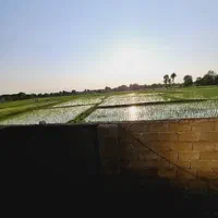 فروش خانه ویلایی ۴۳۰ متری ۲ خوابه/آناملک|فروش خانه و ویلا|خشکبیجار, |دیوار