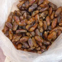 فروش خرمای شاهانی جهرم|خوردنی و آشامیدنی|شیراز, کوشک میدان|دیوار