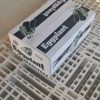 فروش کارتن صادراتی بادمجان