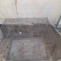 دوتا قفس بزرگ برای پرنده و مرغ سگ گربه|لوازم جانبی حیوانات|شیراز, وزیرآباد|دیوار