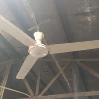 پنکه سقفی