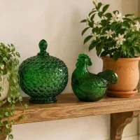 ظروف رنگی