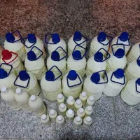 دوغ محلی تازه