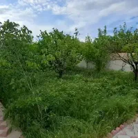 املاک الماس درزمینه خریدوفروش باغ،ویلا