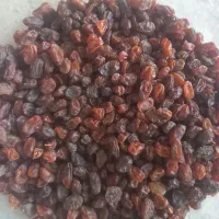 کشمش پاکنشده ۲۶کیلو