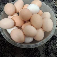 تخم مرغ گلین لری