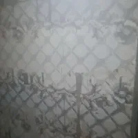 بنا و استاد بنا