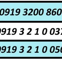 0919.220.7630