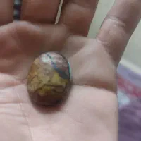 باباقوری سه پوست کلکسیونی|جواهرات|سمنان, |دیوار