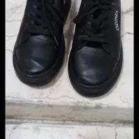 کفش اسپورت|کیف، کفش، کمربند|رباط‌کریم, رباط‌کریم|دیوار