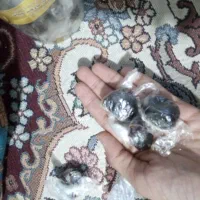 عصاره گیاهی|آرایشی، بهداشتی، درمانی|ایرانشهر, |دیوار